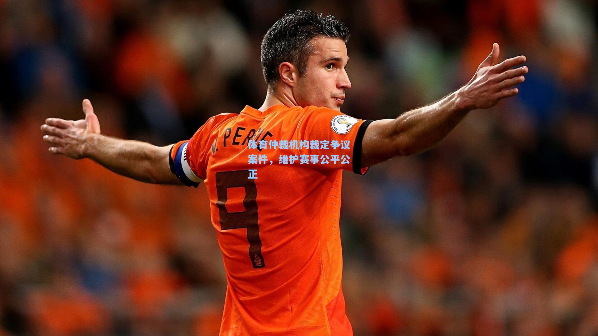 体育仲裁机构裁定争议案件,维护赛事公平公正