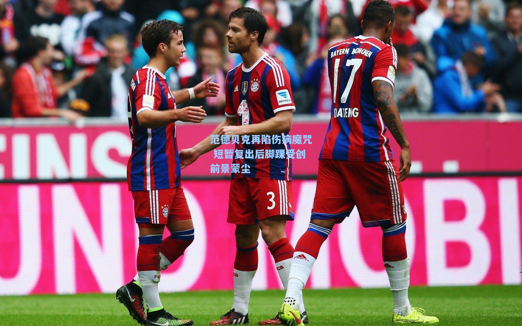 范德贝克再陷伤病魔咒 短暂复出后脚踝受创前景蒙尘