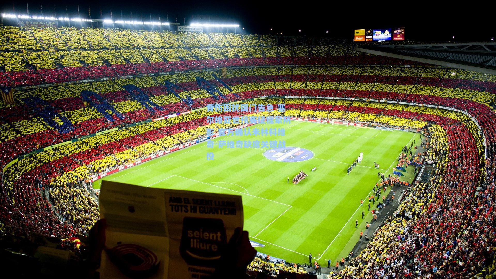 背伤困扰国门告急 塞尔维亚世预赛征程蒙阴影 官方确认米林科维奇-萨维奇缺席关键战役